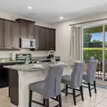 Coliving in Kissimmee - South Orlando, Orlando