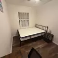 Coliving in Temple Terrace - North Tampa, Tampa