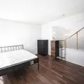 Coliving in Temple Terrace - North Tampa, Tampa