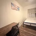 Coliving in Temple Terrace - North Tampa, Tampa