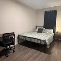 Coliving in West Baltimore - Baltimore Metro Area, Washington DC