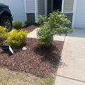 Coliving in Southeast Raleigh - South Raleigh, Raleigh