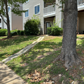 Coliving in Fairmont - Central Raleigh, Raleigh