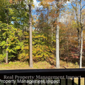 Coliving in Trinity Park - Durham, Raleigh