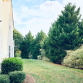 Coliving in Sardis Woods - East Charlotte, Charlotte