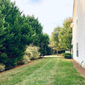 Coliving in Sardis Woods - East Charlotte, Charlotte