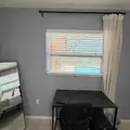 Coliving in Sarasota - Sarasota, Sarasota