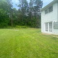 Coliving in North Greensboro - Greensboro, Greensboro