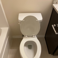 Coliving in Sterling - South Charlotte, Charlotte
