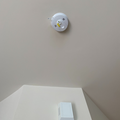 Coliving in Sterling - South Charlotte, Charlotte