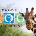 Coliving in College Park JAX - Northside, Jacksonville