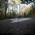 Coliving in North Hills - North Raleigh, Raleigh