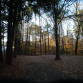 Coliving in North Hills - North Raleigh, Raleigh