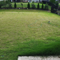 Coliving in Steele Creek - West Charlotte, Charlotte