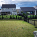Coliving in Steele Creek - West Charlotte, Charlotte