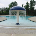 Coliving in Steele Creek - West Charlotte, Charlotte