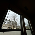 Coliving in Worthdale - South Raleigh, Raleigh