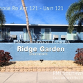 1 bedroom apartment for rent in South Sarasota - Sarasota, Sarasota
