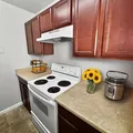 1 bedroom apartment for rent in Northeast Colorado Springs - North COS, Colorado Springs