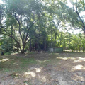 Coliving in Worthdale - South Raleigh, Raleigh