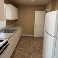 1 bedroom apartment for rent in Downtown COS - Central COS, Colorado Springs
