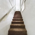 Coliving in College Hill - East Tampa, Tampa