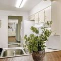Coliving in University Square - North Tampa, Tampa