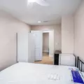 Coliving in Kenwood - Clearwater-St. Petersburg, Tampa