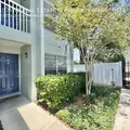 2 bedrooms apartment for rent in Ballast Point - South Tampa, Tampa