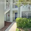 2 bedrooms apartment for rent in Ballast Point - South Tampa, Tampa