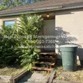 4 bedrooms apartment for rent in Yalecrest - East Bench, Salt Lake City