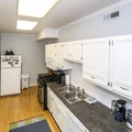 1 bedroom apartment for rent in Gold Coast - Central, Chicago