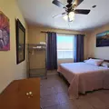 Coliving in Las Vegas - Las Vegas, Las Vegas