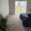 Coliving in Tacoma - South King / Puget Sound, Seattle