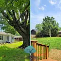 2 bedrooms apartment for rent in Thomasboro - Hoskins - West Charlotte, Charlotte