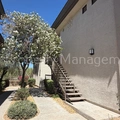 2 bedrooms apartment for rent in North Scottsdale - NE Valley, Phoenix