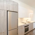 Studio Apartment for rent in Roscoe Village - North Side, Chicago