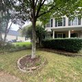 Coliving in East Durham - Durham, Raleigh