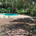 2 bedrooms apartment for rent in Central Business District - Central Orlando, Orlando