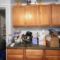 1 bedroom apartment for rent in Andersonville - Far North Side, Chicago