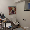 2 bedrooms apartment for rent in North Center - North Side, Chicago