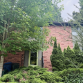 1 bedroom apartment for rent in Wallingford - North Seattle, Seattle