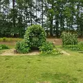 Coliving in Zebulon - Outer Triangle, Raleigh