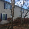 Coliving in East Greensboro - Greensboro, Greensboro