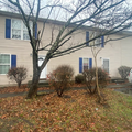 Coliving in East Greensboro - Greensboro, Greensboro