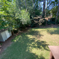 Coliving in Wade - Central Raleigh, Raleigh