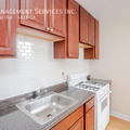 1 bedroom apartment for rent in Andersonville - Far North Side, Chicago