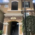2 bedrooms apartment for rent in Brandon - East Tampa, Tampa