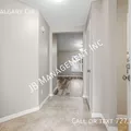 3 bedrooms apartment for rent in Carrollwood - North Tampa, Tampa