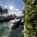 3 bedrooms apartment for rent in Miami Shores - Miami Dade, Miami